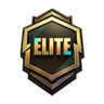 Upgrade Elite RP