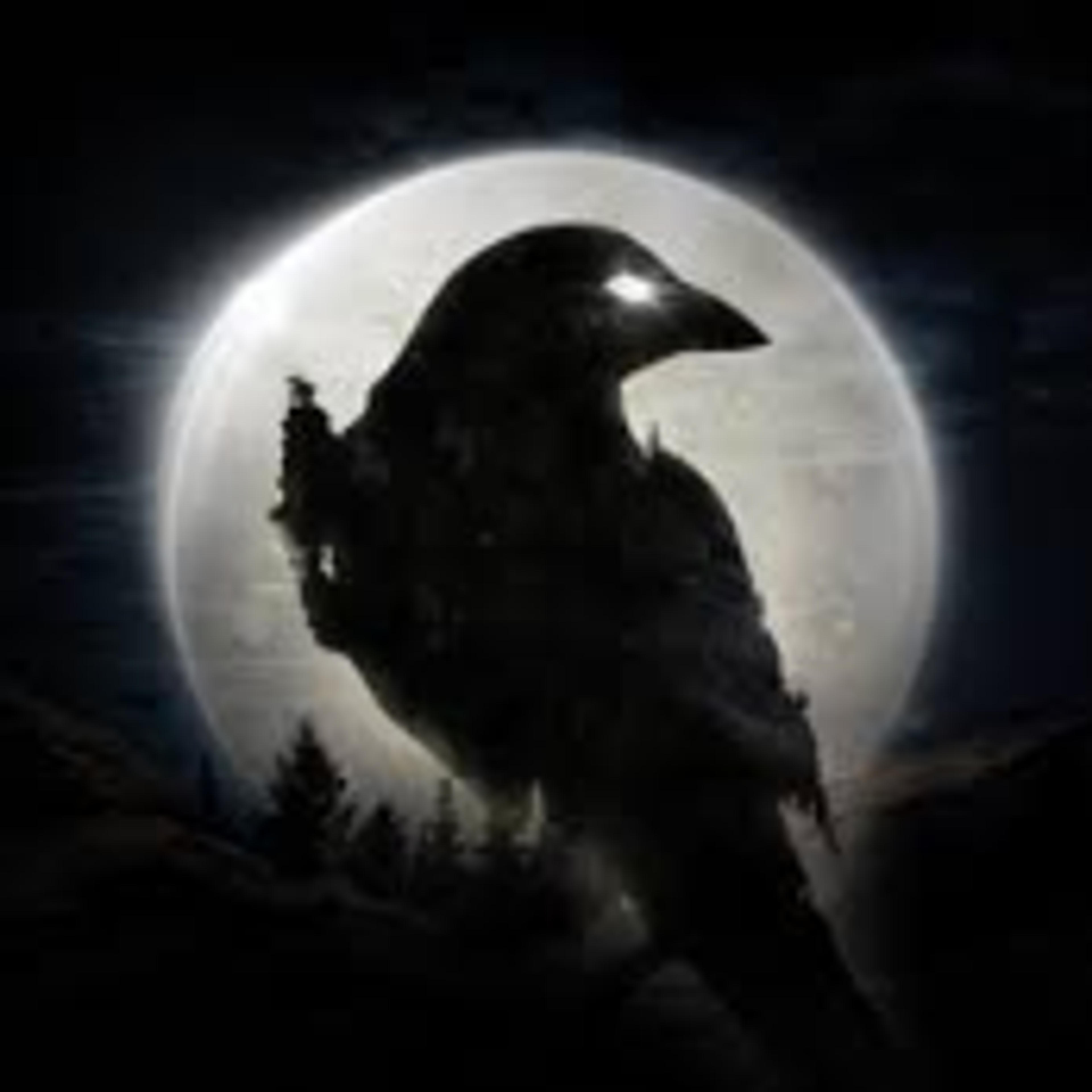 Night Crows - Drop Link